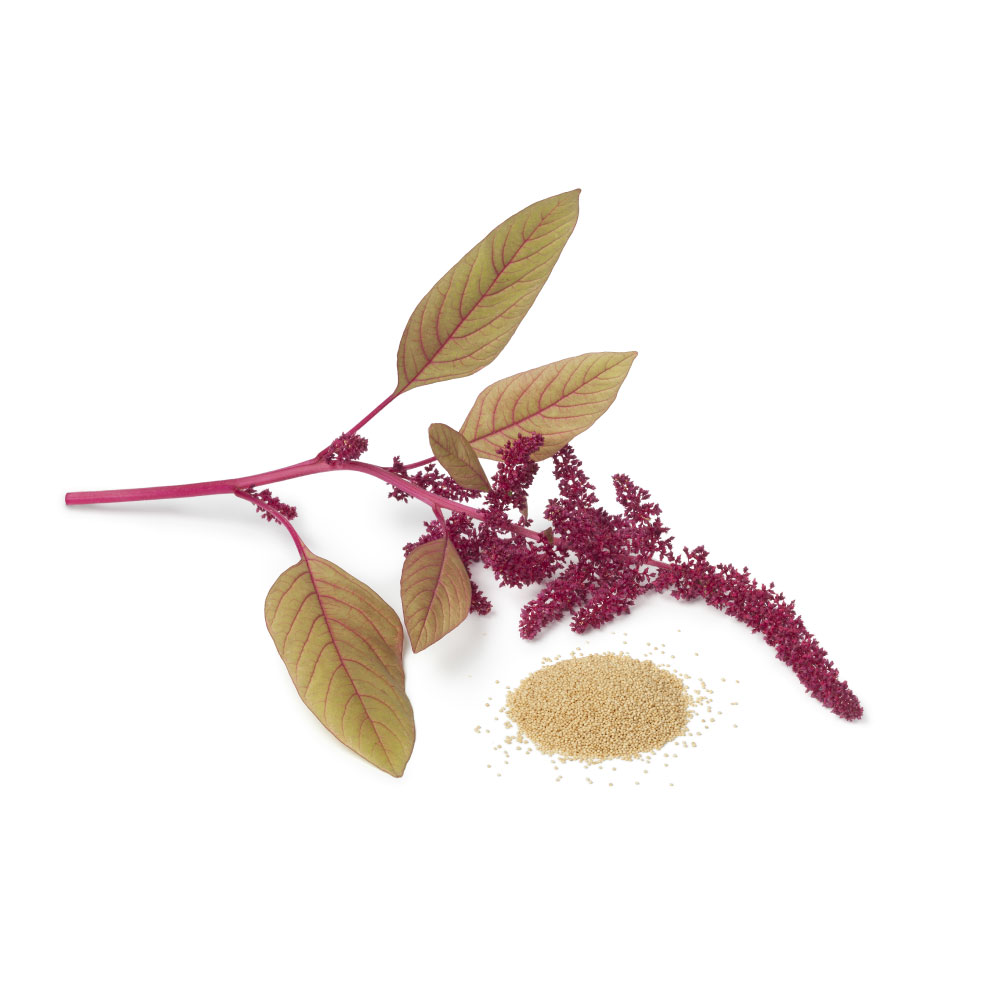 Amaranth
