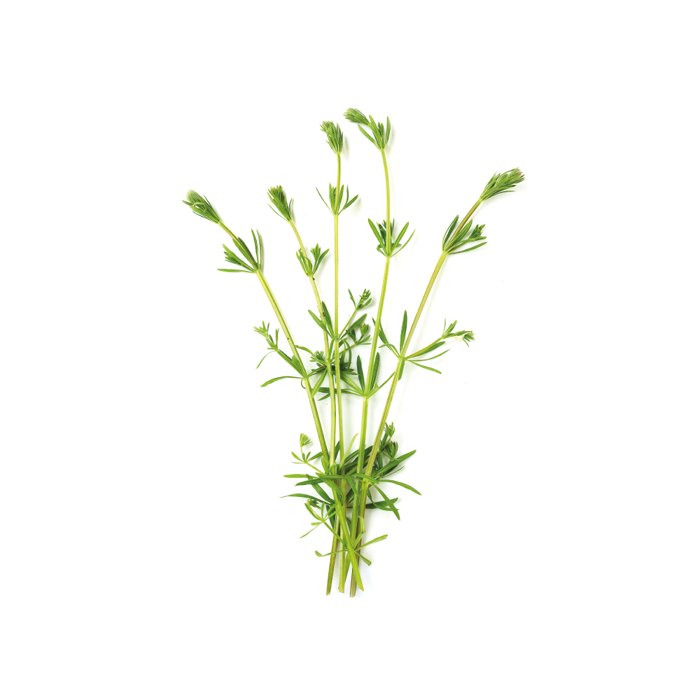 Cleavers