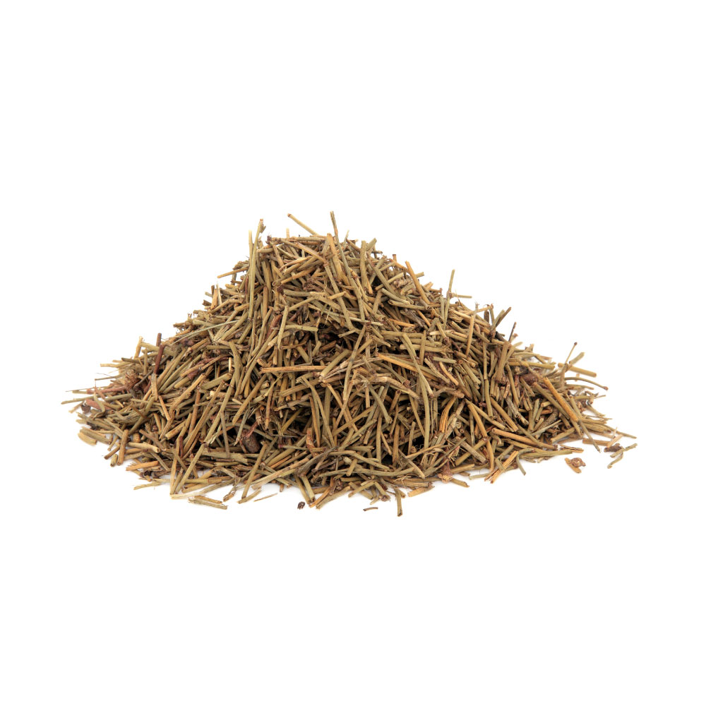 Ephedra