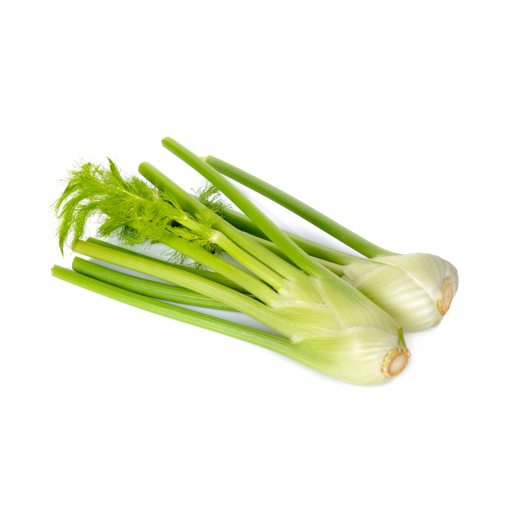Fennel