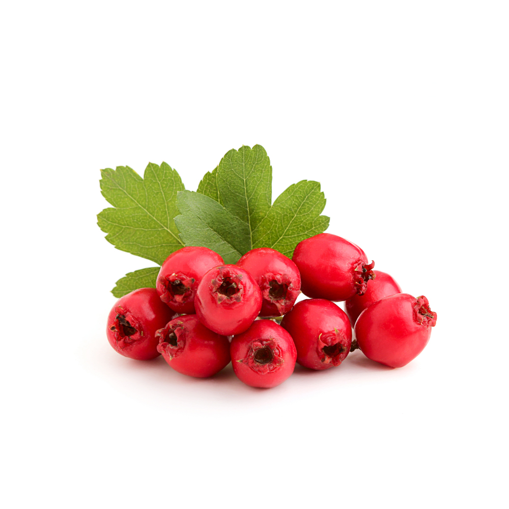 Hawthorn