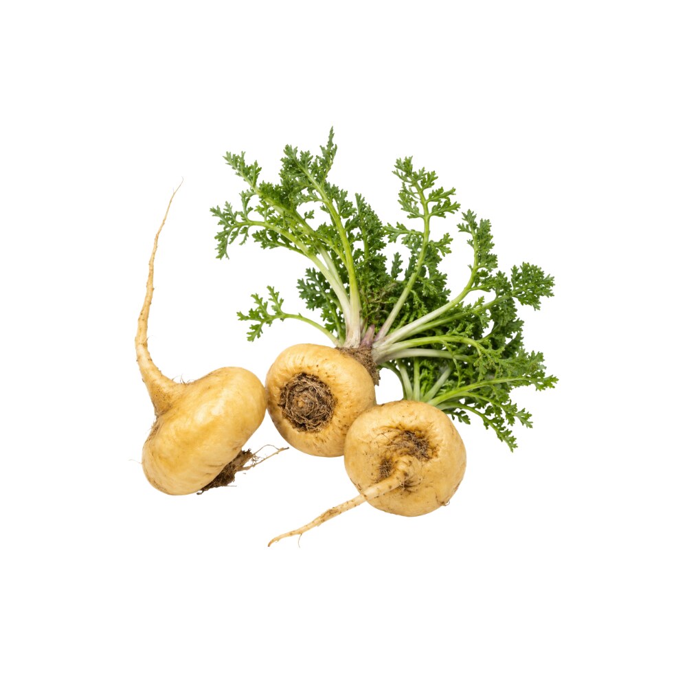 Maca