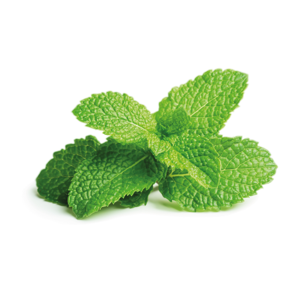 Peppermint