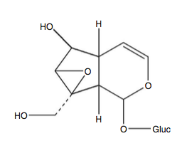 (Catalpol molecule) 