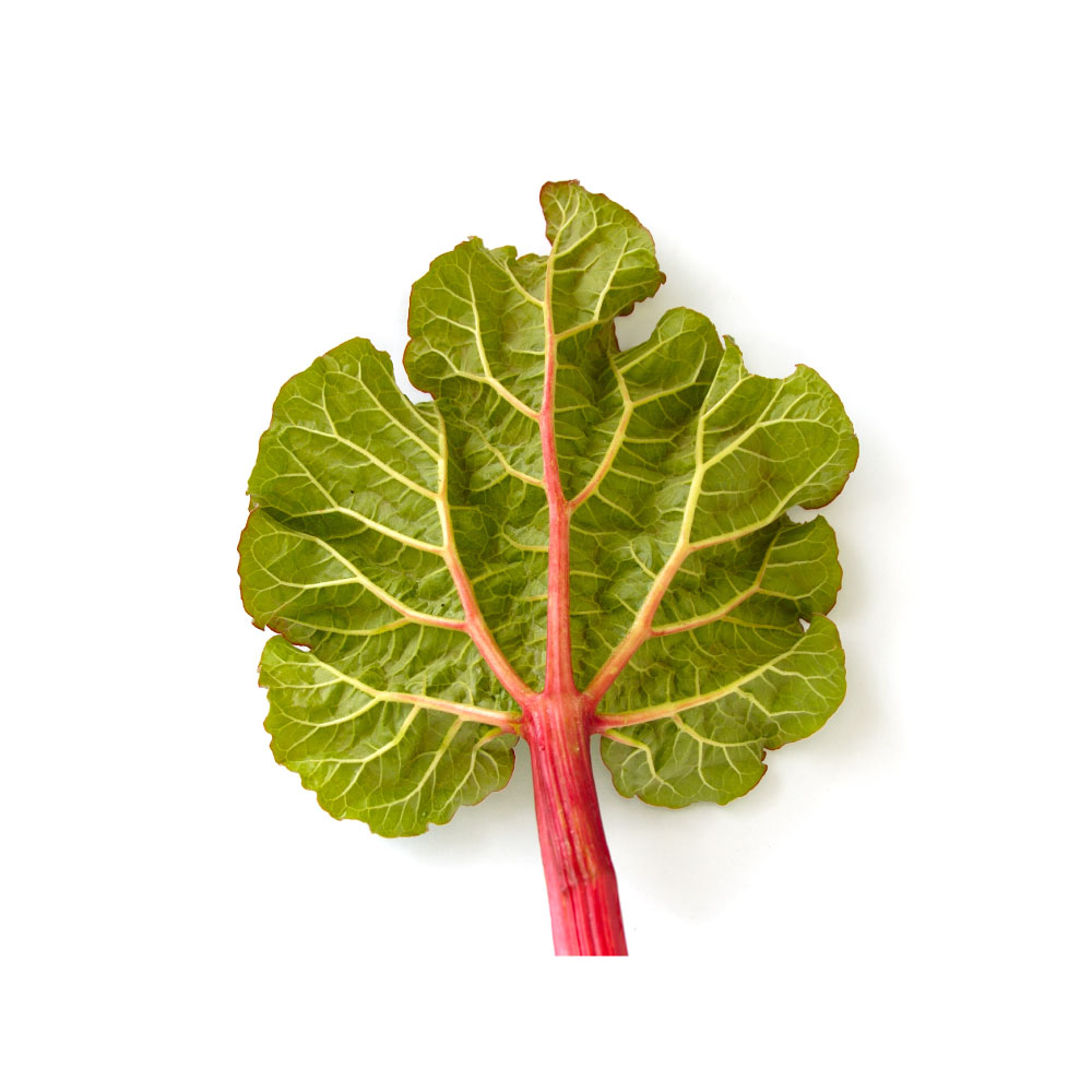 Rhubarb