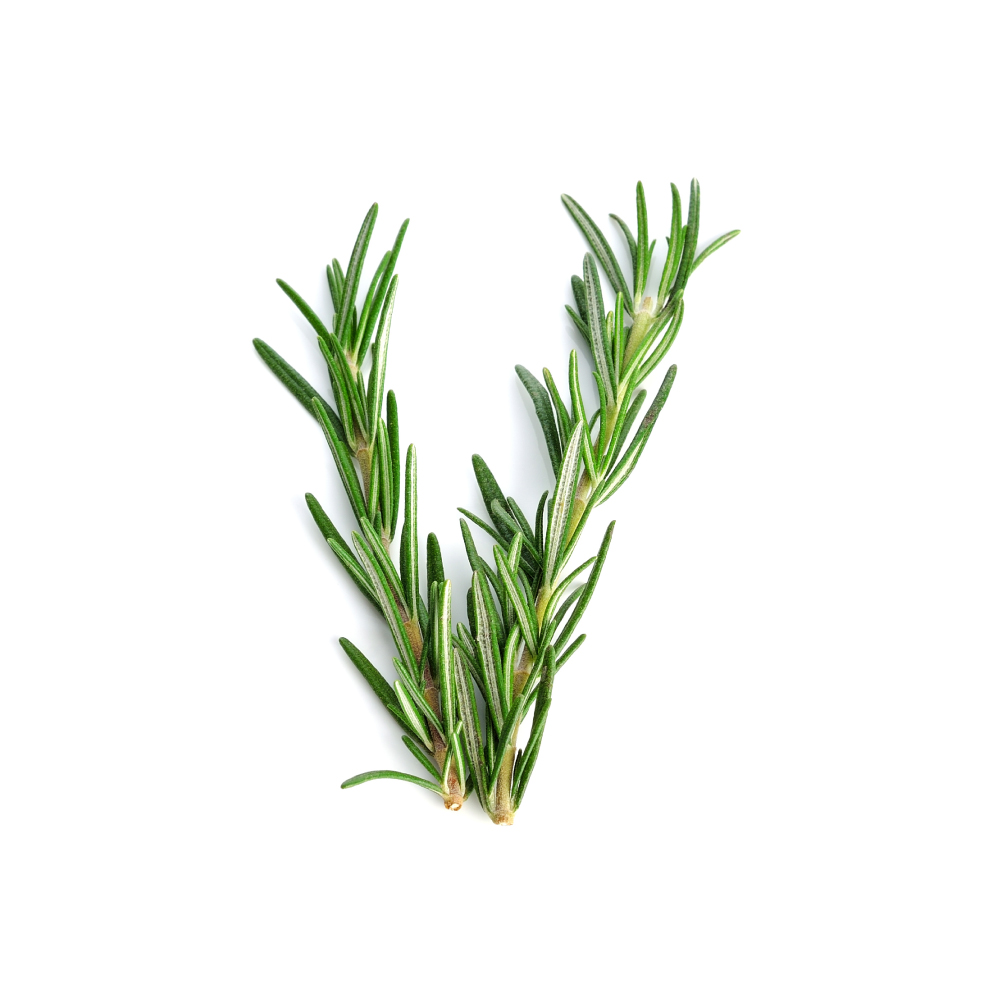 Rosemary