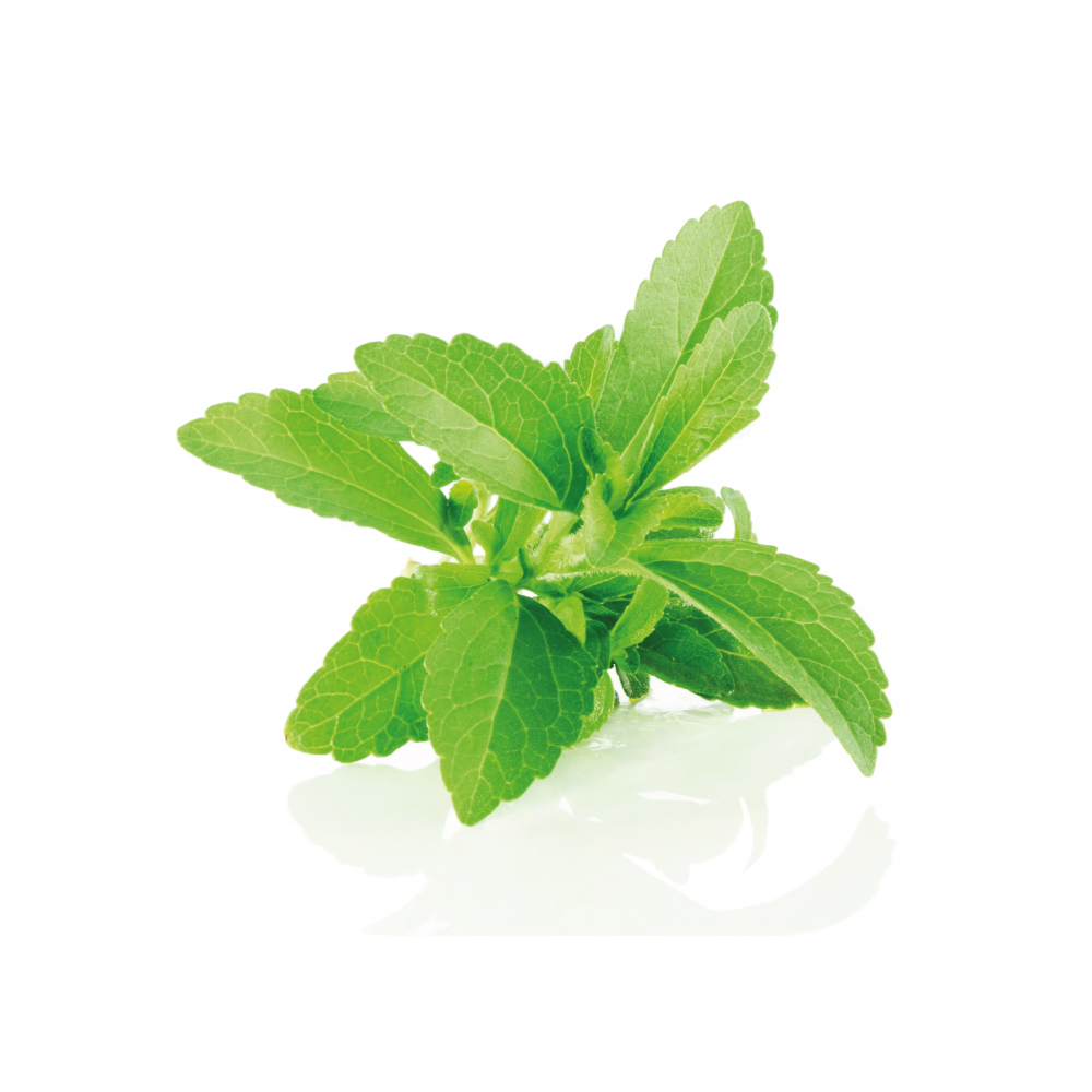 Stevia