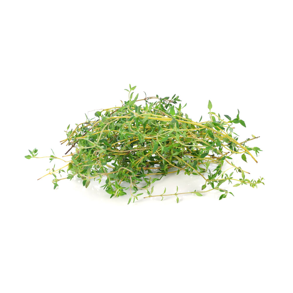 Thyme