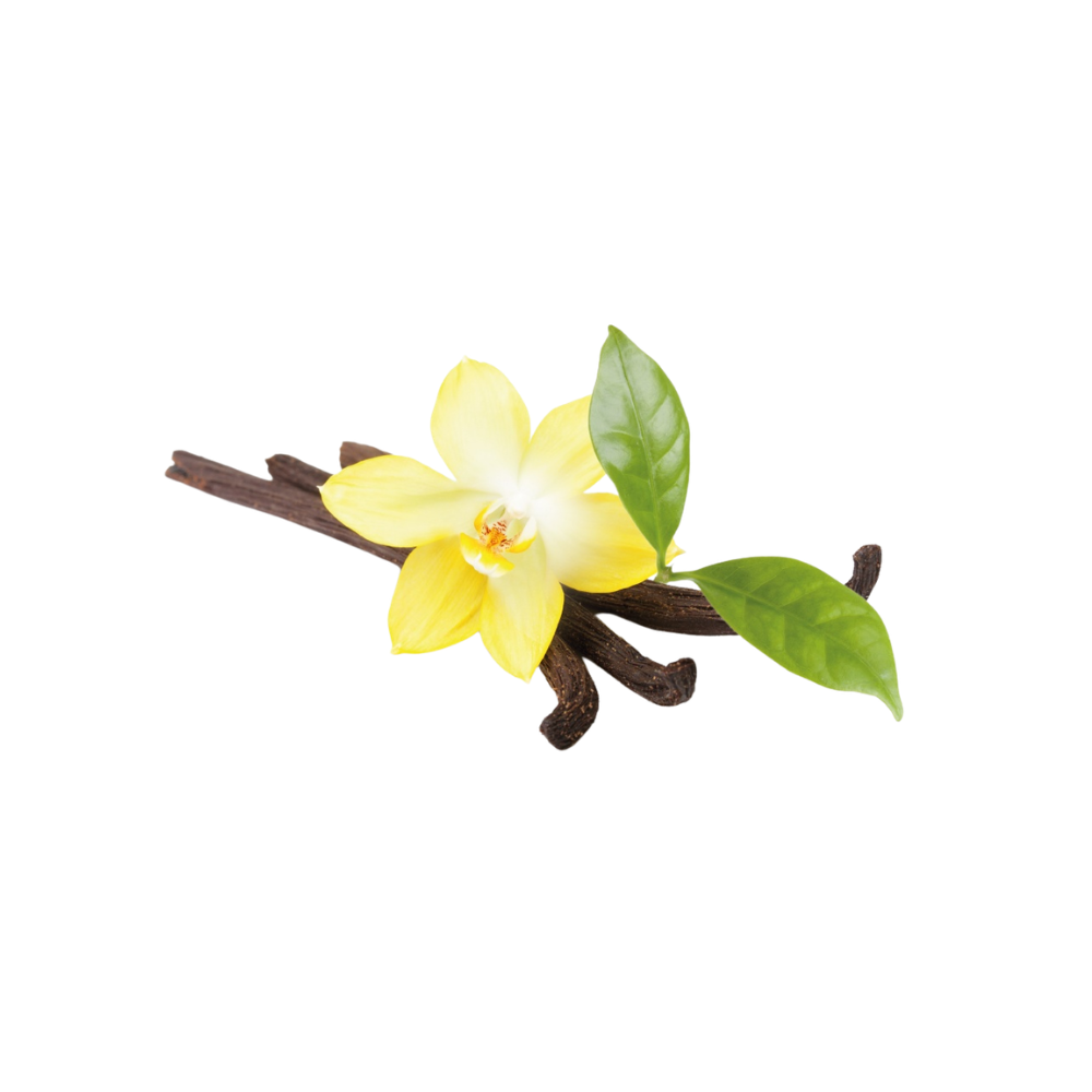 Vanilla